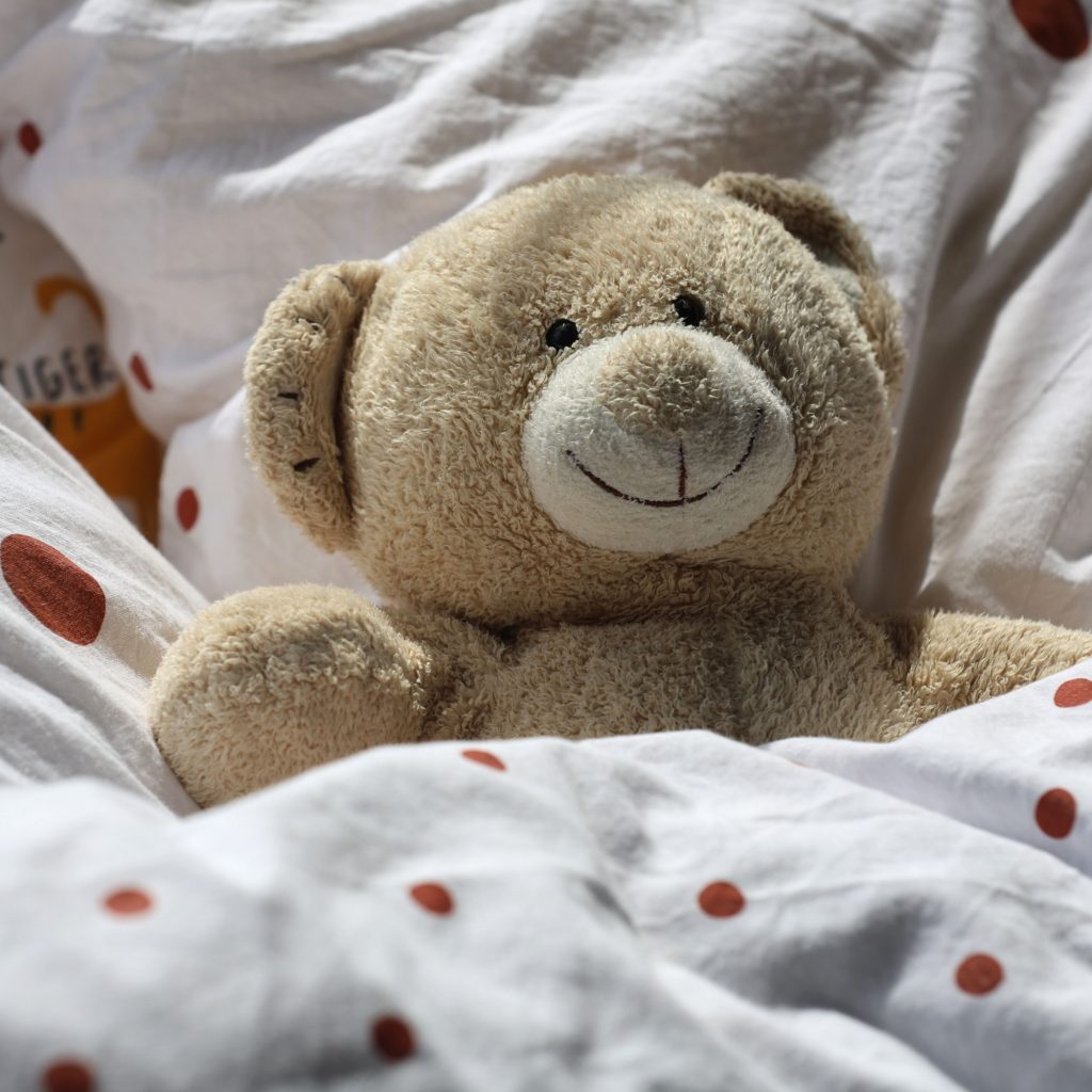 Ours en peluche